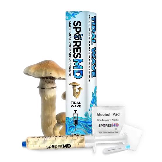 SPORES MD MAGIC MUSHROOM SPORE SYRINGE / TIDAL WAVE